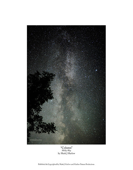"Column" Milky Way Picture - Vertical - Print