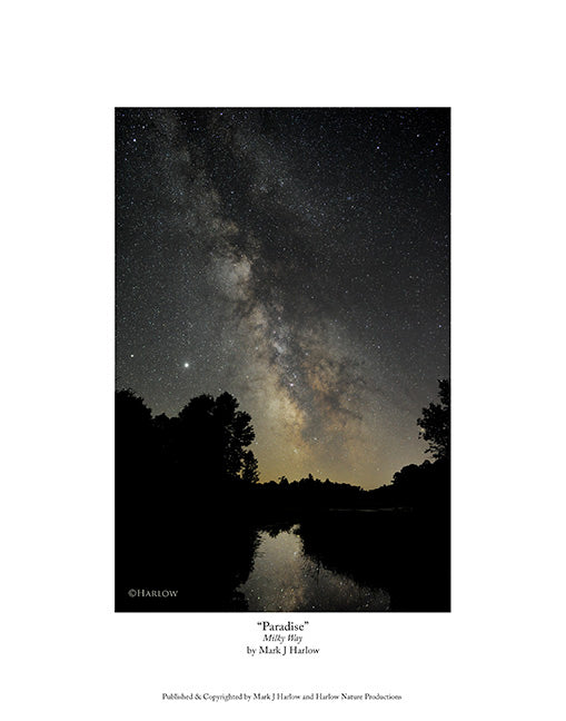 "Paradise" Scenic Milky Way Picture - Print