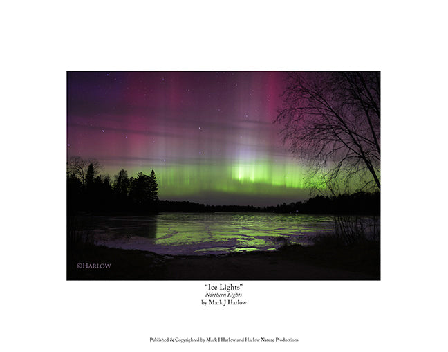 "Ice Lights" Unique Northern Light Picture V2 - Print