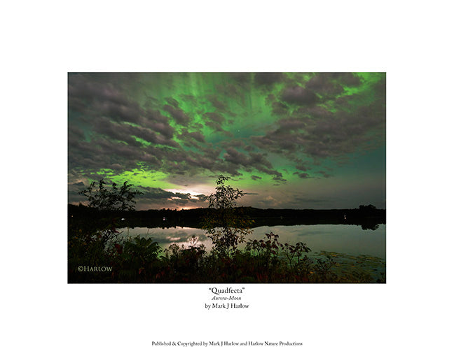 "Quadfecta" Rare Northern Lights - Aurora Picture - Print