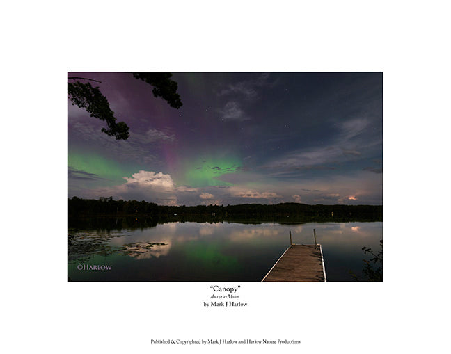 "Canopy" Northern Light Dock Lake Picture - Print