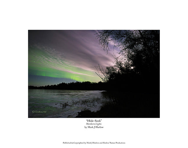 "Hide-Seek" Unique Moon & Northern Light Picture - Print