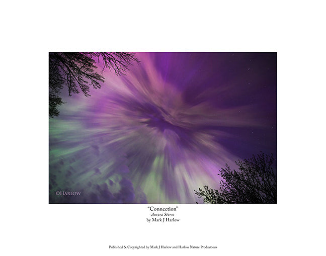 "Connection" Aurora Apex Picture Unique - Print