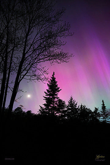 "Guiding Light" unique Aurora with moon picture - Crystal acrylic print