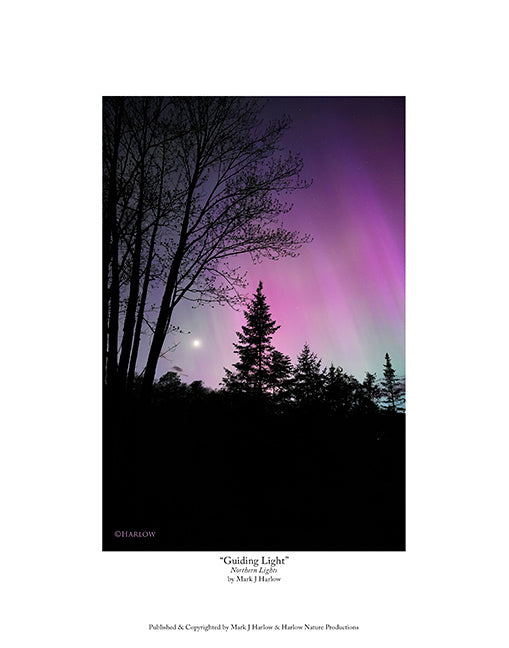 "Guiding Moonlight" Peaceful Northern Light with Moon Picture - Print
