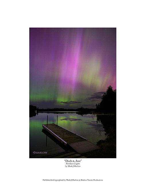 "Dock & Awe" Unique RARE Aurora - Northern Lights Picture - Print