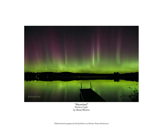 "Showtime!" Dramatic Northern Light Picture - Print