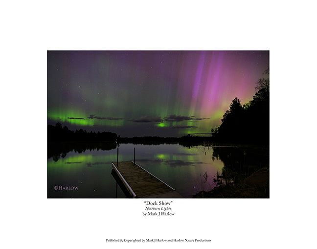 "Dock Show" Amazing Northern Light Print - Picture
