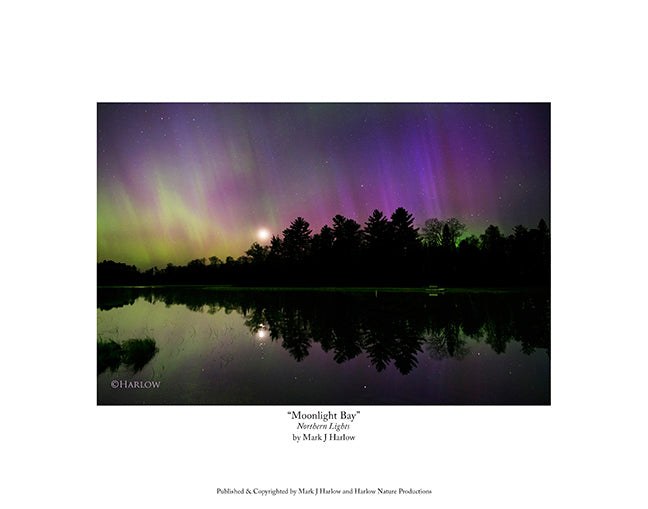 "Moonlight Bay" Aurora - Northern Light Moon Picture - Print