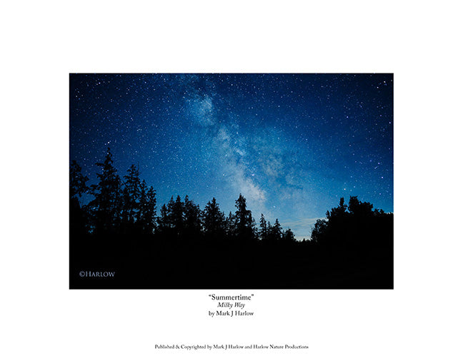 "Summertime" Unique Milky Way Picture - Print