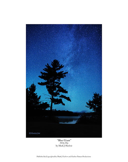 "Blue Giant" Unique Milky Way picture - print
