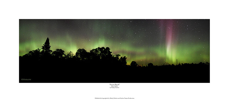 "Aurora Ranch" Unique Northern Lights Picture - Print