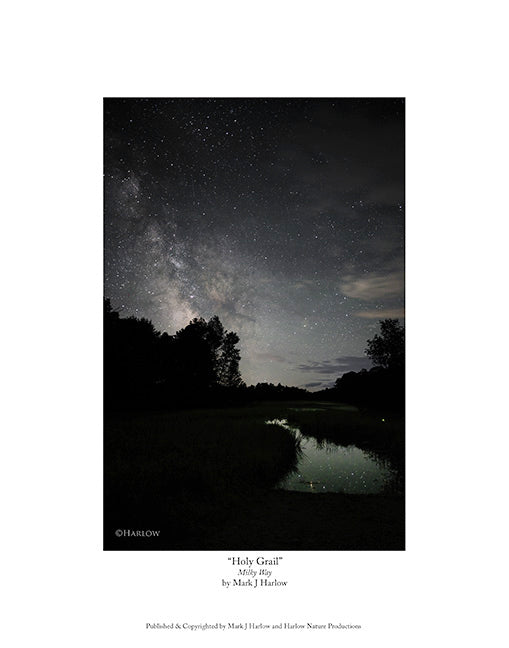 "Holy Grail" Unique Milky Way Picture - Print Vertical