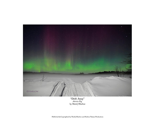 "Drift Away" Winter Northern Lights Picture with Fog - Print