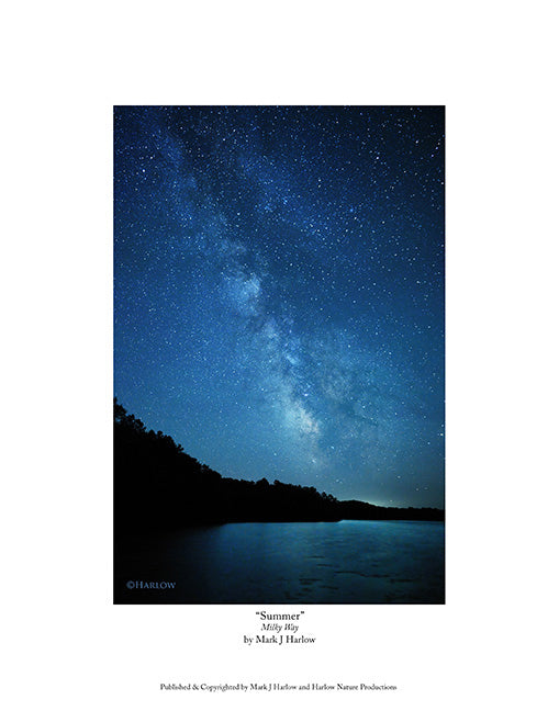 "Summer" Milky Way Picture - Vertical Print