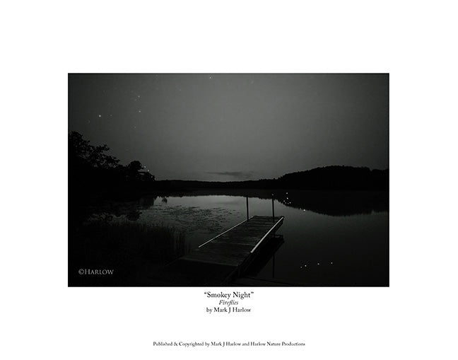 "Smokey NIght" Unique Itasca Park Night Picture - Print