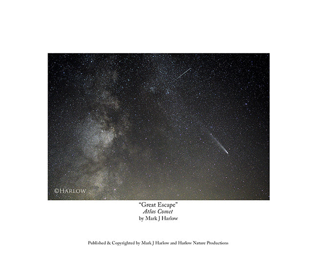 "Great Escape" Unique Comet Milky Way Picture - Print