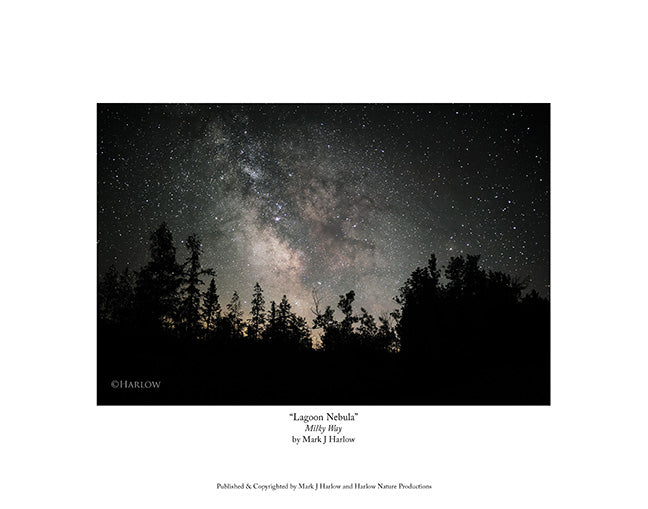 "Lagoon Nebula" Picture of the Milky Way with the Lagoon Nebula - Print