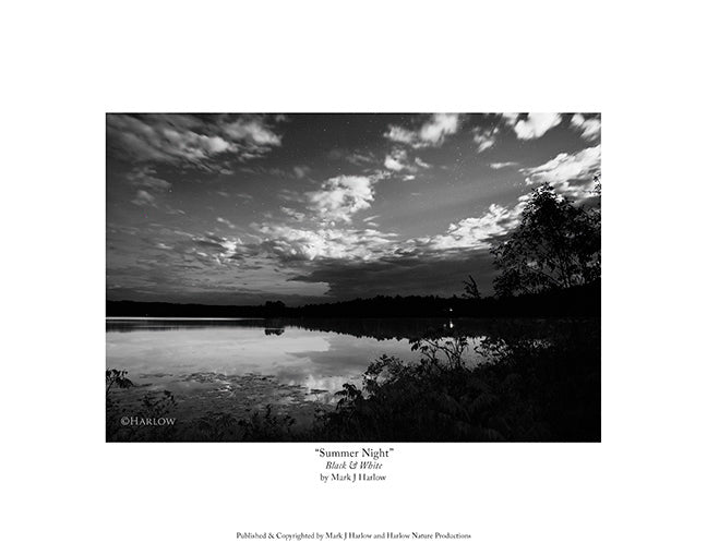 "Summer Night" in Black and White. Night Picture - Print