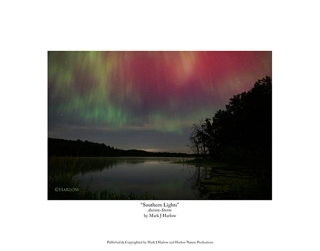"Southern Lights" Rare Northern Light Picture - Print