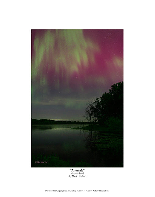 "Anomaly" South facing Northern Light Picture - Print