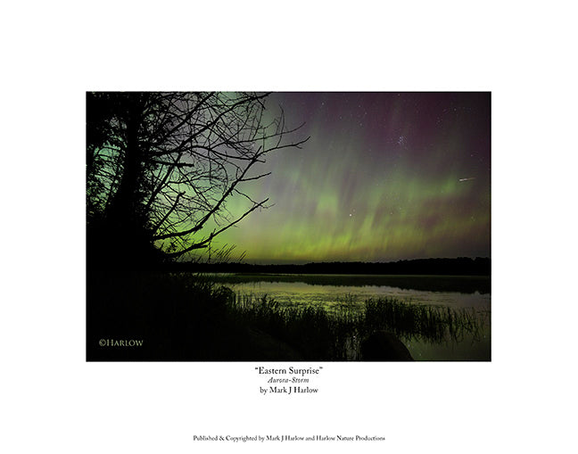 "Eastern Surprise" Meteor with Northern Light Picture - Print