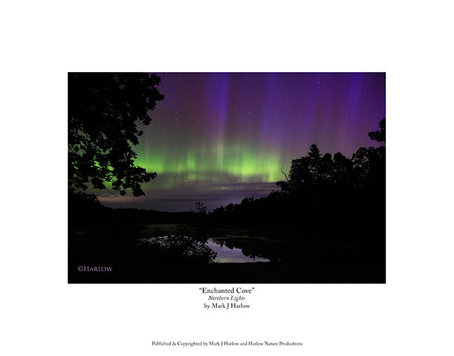 "Enchanted Cove" Aurora - Northern Lights Picture - Print