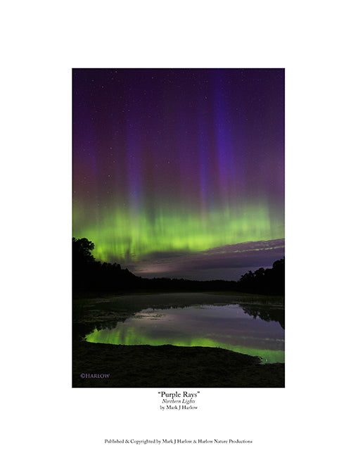 "Purple Rays" Unique Northern Light - Aurora Picture - Print