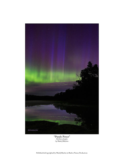 "Purple Power" Unique Northern Light Picture - Print