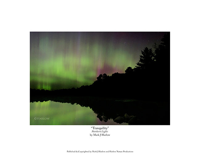"Tranquility" Aurora Lake Picture - Print