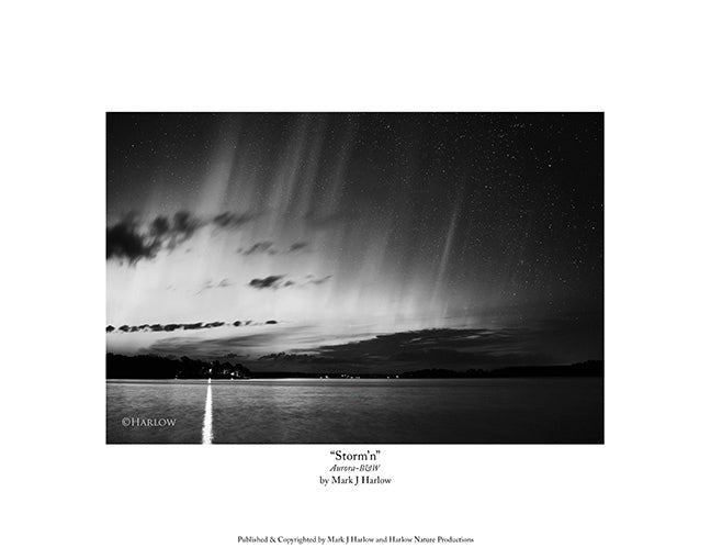 "Storm'n" B&W Aurora Winds-Storm - Back and White Aurora Picture - Print