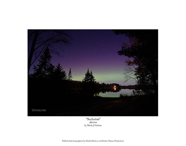 "Seclusion" Zen type Northern Light Aurora - Picture - Print