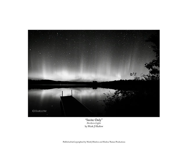 "Invite Only" B&W Black and White Northern Light Picture - Print