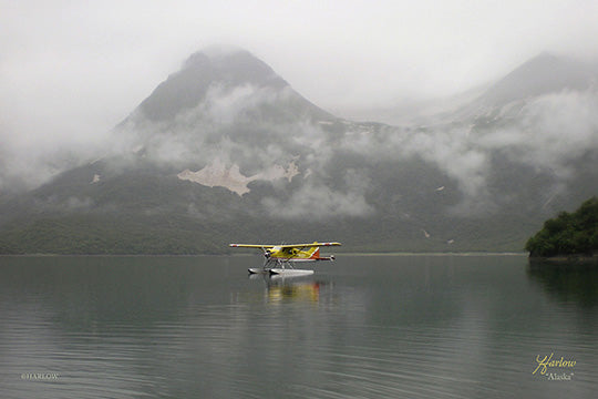 "Alaska" famous float plane picture - Gallery Metal Print