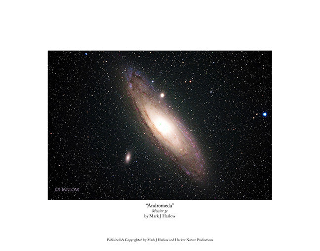 "Andromeda" Galaxy Picture - Print