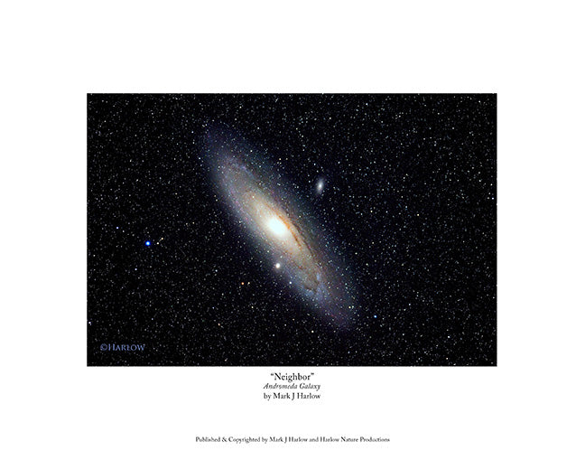 "Neighbor" Andromeda Galaxy Picture - Print