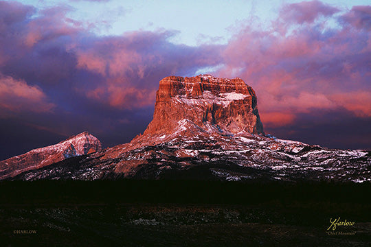 "Chief Mountain" Glacier National Park picture - Gallery Metal Print