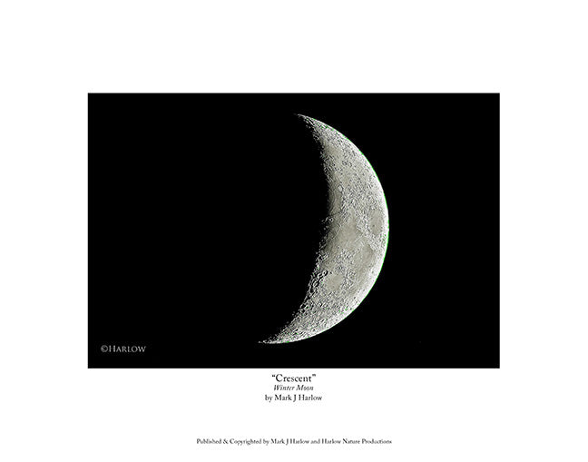 "Crescent" Moon Picture - Print