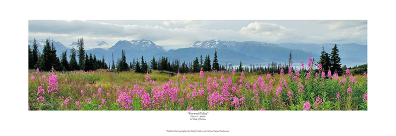 "Fireweed Valley" Alaskan Landscape Picture with Glaciers - Print