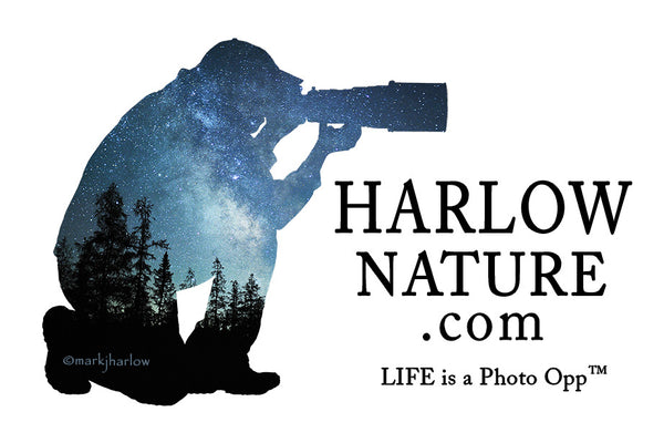 harlownature.com
