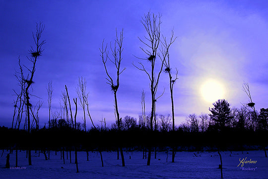 Metal Prints HZ 2026