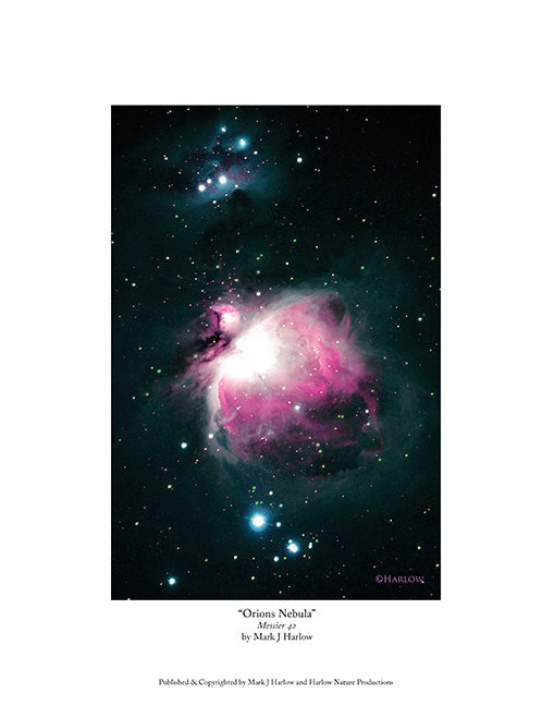 "Mighty Orion" Orion's Nebula Picture - Print