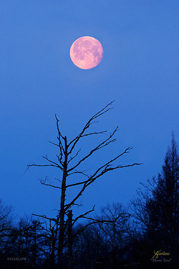 "Moon Toss" unique full moon picture - Gallery Metal print