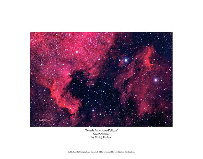 "North American - Pelican" Nebula Picture - Print