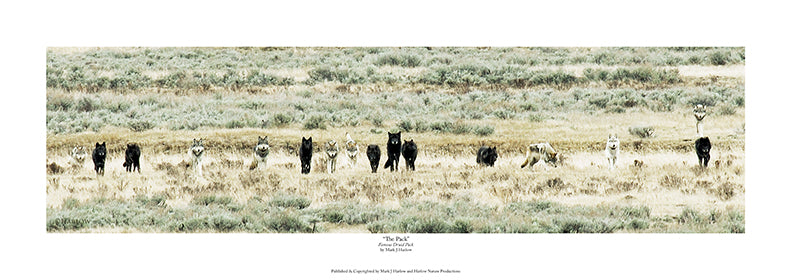 "The Pack" Famous Druid Wolf Pack Print - Picture