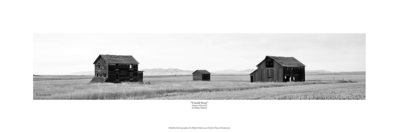 "Untold Story" B&W Montana Homestead Picture - Print