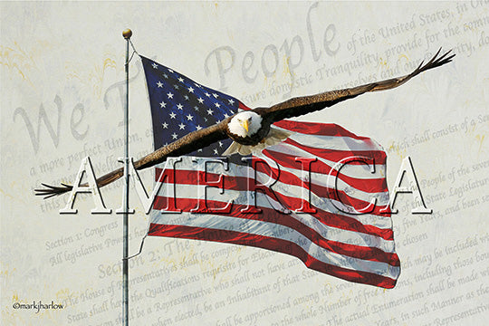 "America" featuring Guardian eagle - Gallery Metal Print