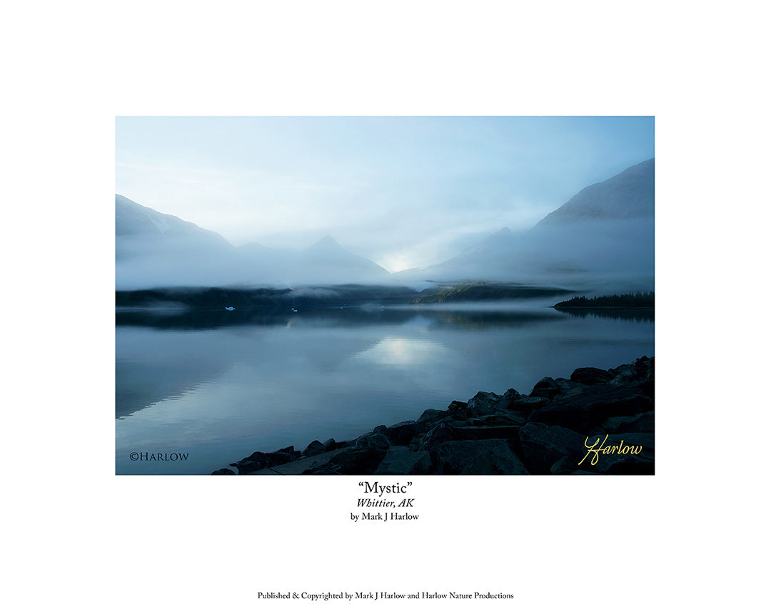 "Mystic" Whittier Alaska Picture - Print