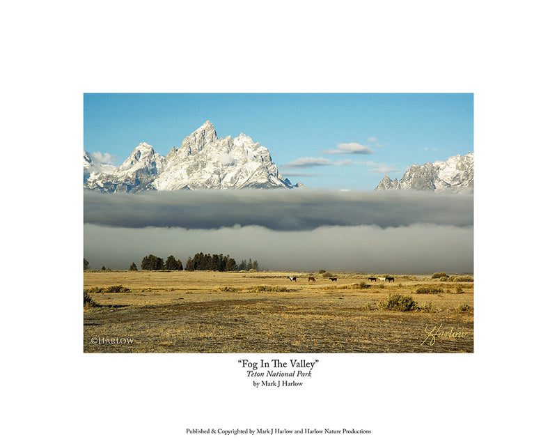 "Fog In The Valley" Grand Tetons National Park Picture