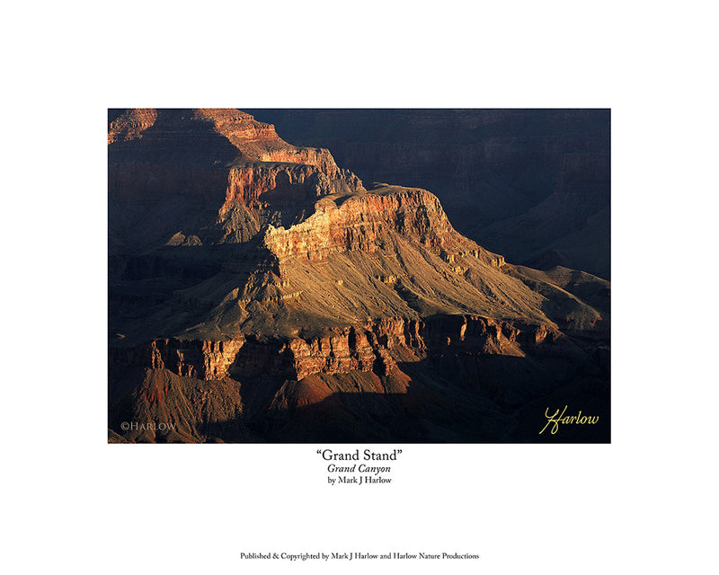 "Grand Stand" Grand Canyon Picture